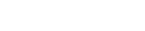 Electrónica Pura y de Servicios